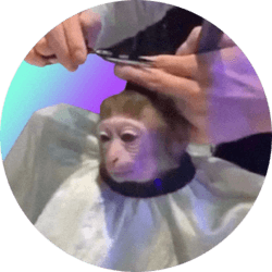 monkeyhaircut Logo