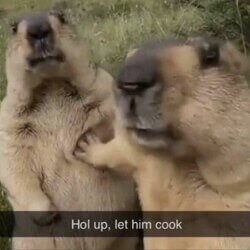 Let Him Cook价格预测