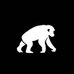 BlackPool Price Prediction