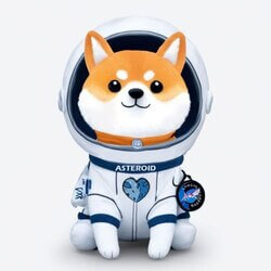 Asteroid Shiba 图标