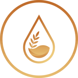 ENKI Protocol价格预测