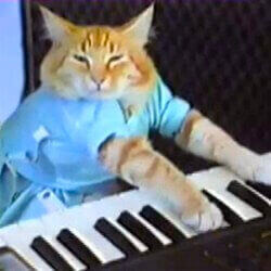 Keyboard Cat Logo