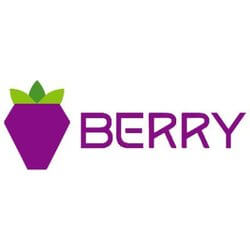 Berry Data 图标