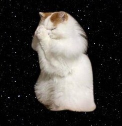 Prediksi Harga conviction