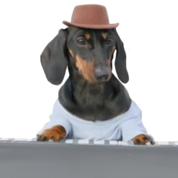 Synthesizer Dog价格预测