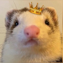 Floofnoodles Price Prediction