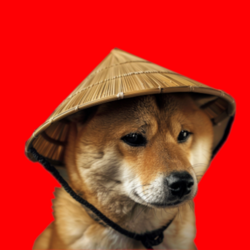 Chinese Doge Wow价格预测