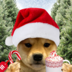 Prediksi Harga Wifmas