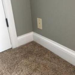 Invisible Cat价格预测