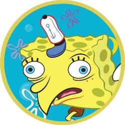 Logo Sponge
