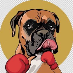 SUIBoxer Logo