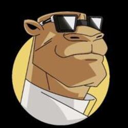 Camel Dad价格预测