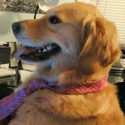 Prediksi Harga ghffb47yii2rteeyy10op