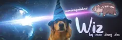 Wiz价格预测