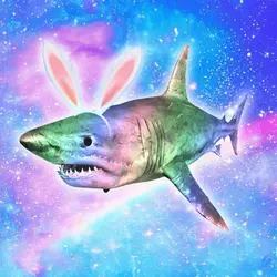 iridescent rabbit shark Price Prediction
