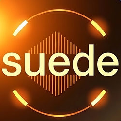Johnny Suede Logo