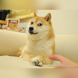 Kabosu on SOL价格预测