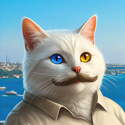 vankedisi 图标