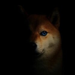 Underdog价格预测