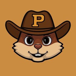 OG Peanut Price Prediction