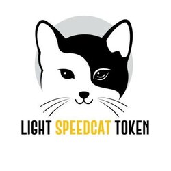 Light Speed Cat 图标