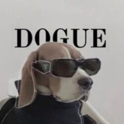 DOGUE
