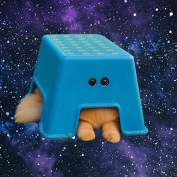 cat in stool Price Prediction