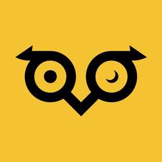 Owlto Finance 图标
