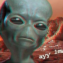 Ayy LMAO