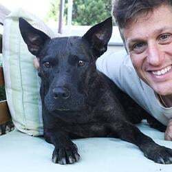 Rosie โลโก้