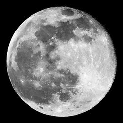 Predviđanje cijene Moon