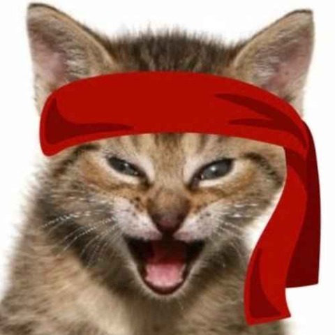 RKC/SVC: Red Kitten Crew (RKC) to Salvadoran Colón (SVC) <br />Converter & Calculator