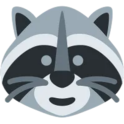 Raccoon Coin