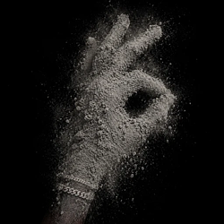 Logo Never Sell Your Dust