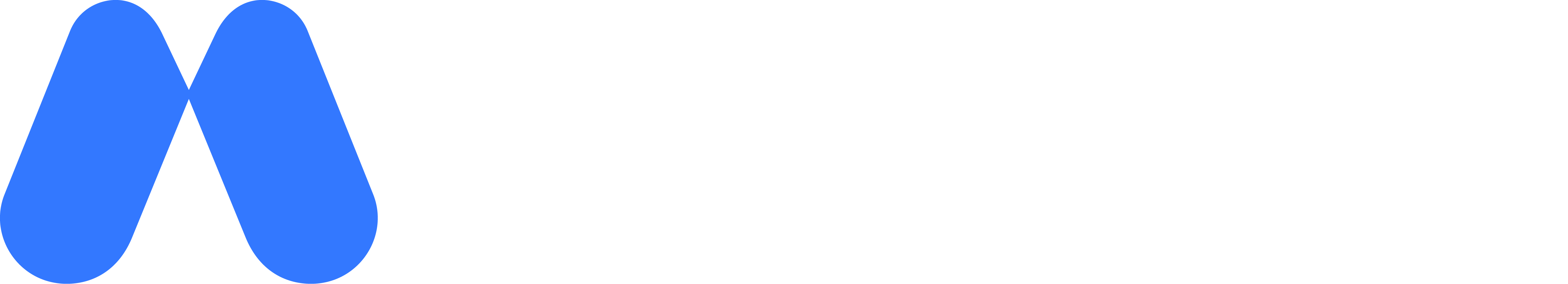 Partner 1