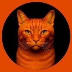 BILLI 图标