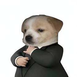 SUIT