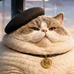 Le gros chaton 图标