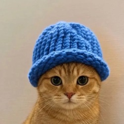 Логотип Catwifhat