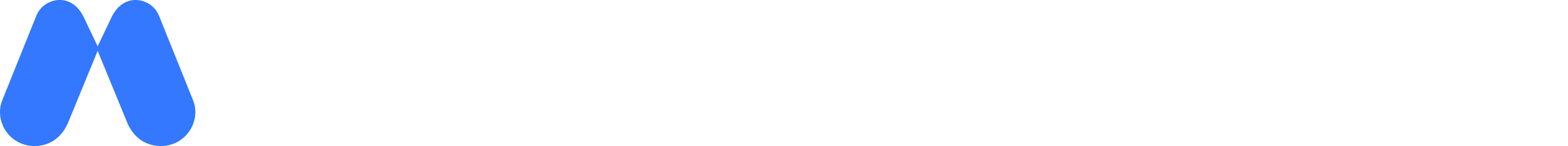 Partner 1