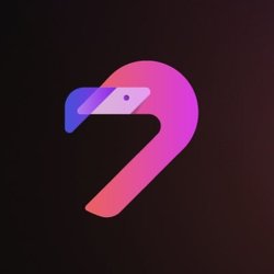 Flamingo Finance Logo