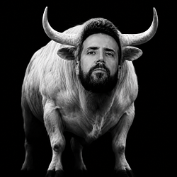 Logo The White Bull