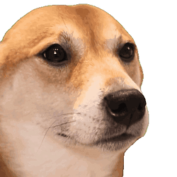 bopdog Logo