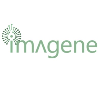 IMA