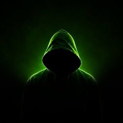 The Hoodies