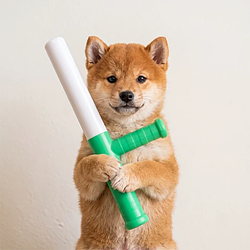 Logo Baton