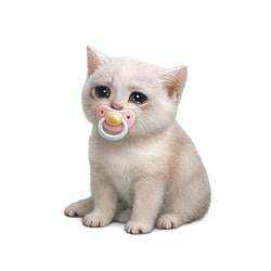 Baby Cash Cat Logo