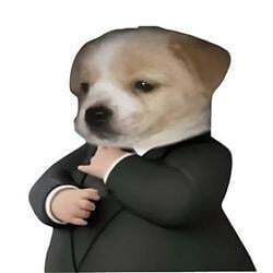 Dog in a suit