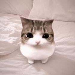 Meowpin Logo