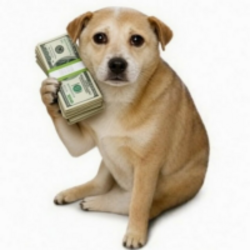 CashDog
